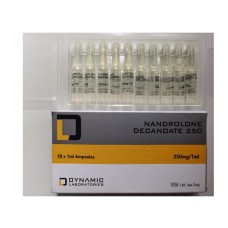 DYNAMIC LABS DECA 250 DYNAMIC EVOLUTION